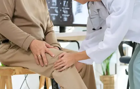 Knee
