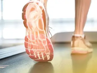 Foot & Ankle