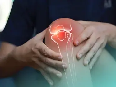 Knee