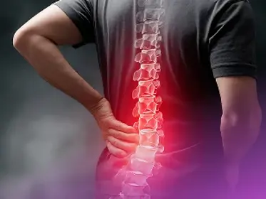 Spine