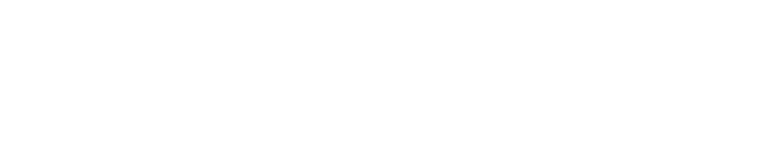 Premier Orthopaedics
